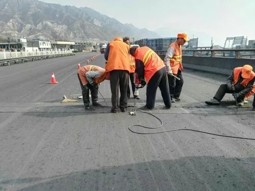 和林格尔道路桥梁病害治理